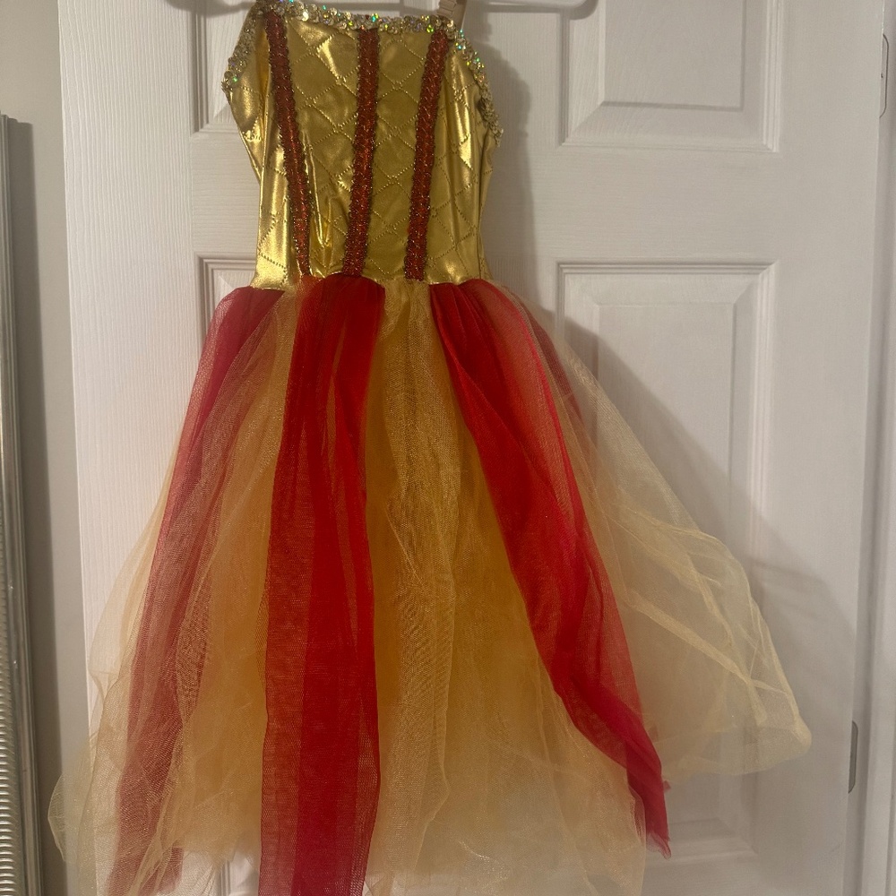 Red and Gold Costume